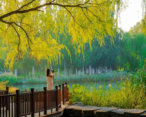 A serene walkway reflecting calm outdoor habits